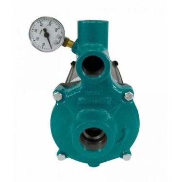 Imagem de Motobomba Injetora 1cv 60Hz 110/220V I-210 ECI-100M Eletroplas, Bivolt
