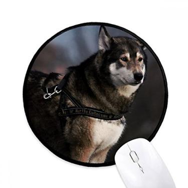 Imagem de DIYthinker Tapete de mouse para computador para escritório com cachorro Husky Animal Lonely Night