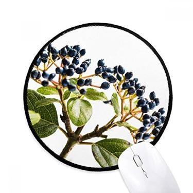 Imagem de Quadro de planta de folha branco simples natureza mouse pad desktop escritório tapete redondo para computador