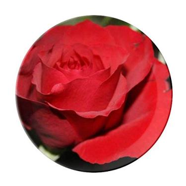 Imagem de Prato de porcelana decorativa com flores rosas em tamanho grande vermelho salver louças de jantar