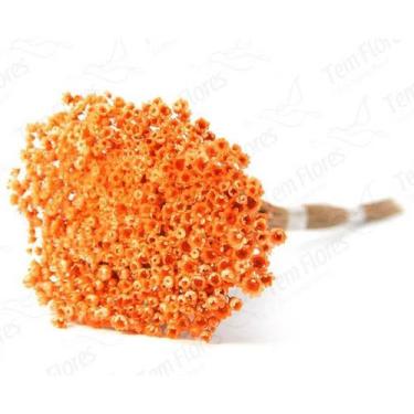 Imagem de Sempre Viva Laranja Desidratado - Tem Flores