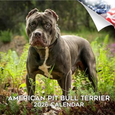 Imagem de Calendário American Pit Bull Terrier 2025 2026 - Calendário mensal de parede de raça de cachorro - 30,5 cm x 61 cm aberto - Papel grosso sem derramamento - Presente - Calendário de planejamento de
