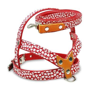 Imagem de Peitoral com Guia AMF Veneza para Cães Vermelho - Tamanho 2