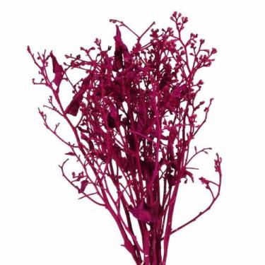 Imagem de Dedo De Anjo Pink Flor Desidratada Buque Flores Secas - Pense Flores