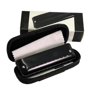 Imagem de Gaita Profissional Diatônica 10 Furos Blues Harmonica Instrumento Musical