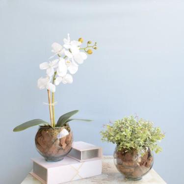 Imagem de Kit com 2 Arranjos - Orquídea Artificial Branca + Peperômia no Vaso de