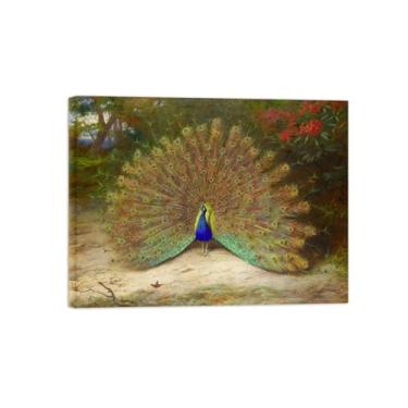 Imagem de Animais Pinturas Famosas Arte Parede-Fotos Lona para Sala de Estar-Pavão borboleta-Pôster e Imprimir Decoração 20x25cm8x10in Tela Embrulhada