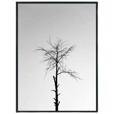 Imagem de Quadro Decorativo Foto Árvore Seca Moldura Preta 24X18Cm