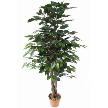 Imagem de Planta Artificial Ficus Just Home Collection