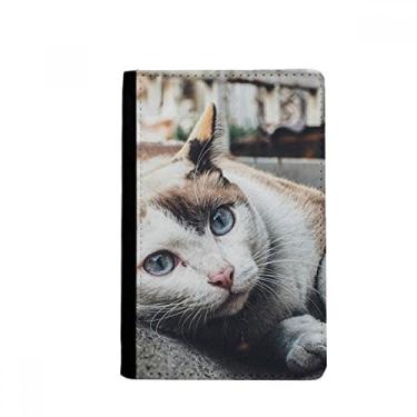 Imagem de Porta-passaporte com foto de gato colorido animal porta-passaporte Notecase Burse capa carteira porta-cartão, Multicolor