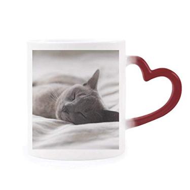 Imagem de Caneca de grés com foto de gato cinza fofa e sensível ao calor com mudança de cor vermelha