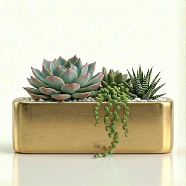 Imagem de Genérico, Vaso de Cimento Quadrado, Branco Brilhante, Verde, 12x10x11 cm, Elegante, Para Plantas, Acabamento Pintado