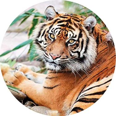 Imagem de Capa para estepe Ecosport Crossfox Tigre CN856 - Lorben