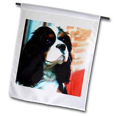Imagem de 3dRose Cavalier King Charles Spaniels - Bandeira de jardim, 30,48 x 45,72 cm (fl_981_1), varia