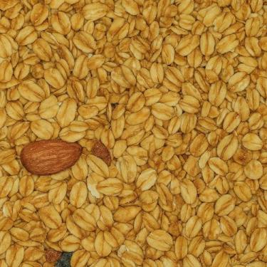 Imagem de Granola Premium Zero Açúcar 100g  Crocância Natural, Sabor Equilibrado