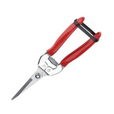 Imagem de RiToEasysports Tesouras de Poda, Tesoura de Jardim de Aço Inoxidável Com Mola de Economia de Esforço para Aparar Legumes Flores Ramos de árvores de Fruto (Cabeça Reta)