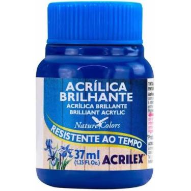 Imagem de Tinta P/Artesanato 37ml Brilhante Azul Turquesa 501 Tinta P/Artesanato