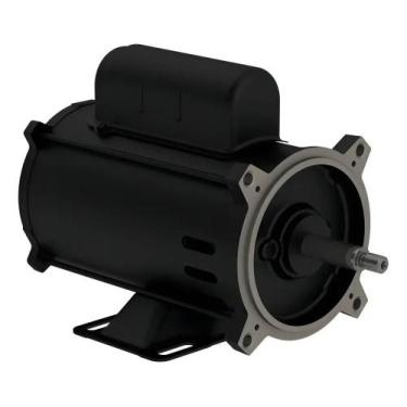 Imagem de Bomba Centrífuga WEG 1/2cv Monofásica para Piscina - Congratulations S