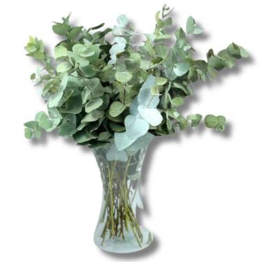 Imagem de Arranjo Floral Eucalipto Desidratado Com Vaso Vidro Julieta - Inspira 