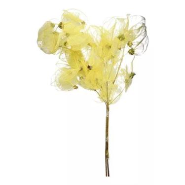 Imagem de Flor Magnólia No Galho Desidratada Decoração Esqueleto Decor - FLORA F