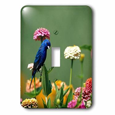 Imagem de 3dRose (lsp_250938_1) Interruptor de botão único índigo Bunting macho em Zinnias no jardim Marion County, Illinois