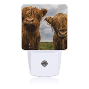 Imagem de Uiaoiais Luz Noturna Highland Cows Com Sensor De Anoitecer E Amanhecer Para Crianças, Meninas, Meninos, Mulheres, Homens, Decoração Quarto, Corredor, Cozinha, Banheiro, Berçário, Escadas
