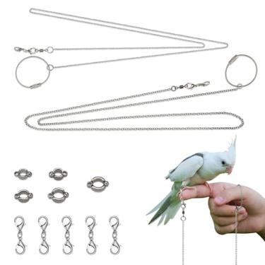 Imagem de LELE LIFE Pacote com 2 trelas para pássaros de 99 cm com 5 tamanhos de anéis de tornozelo, aço inoxidável, antimordida, arnês de pássaro, brinquedo voador, corrente de treinamento, corda para pernas