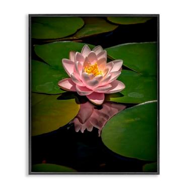 Imagem de Stupell Industries Arte giclée emoldurada branca de lótus rosa entre lírios, design de Phillip Flowers, 50 x 40 cm