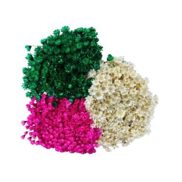 Imagem de Kit Sempre Viva 3 Cores - Verde, Pink e Branco