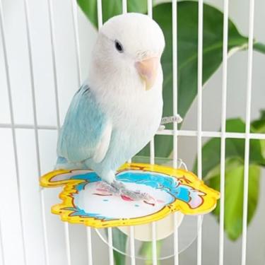 Imagem de Poleiro de acrílico para gaiola, bonito suporte de plataforma de acrílico colorido para periquitos, periquitos, calopsitas, periquitos, periquitos, periquitos, canários, conures, papagaios pequenos a