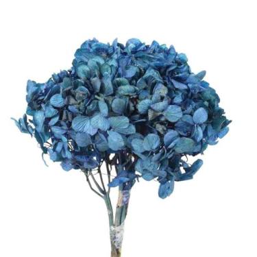 Imagem de Hortência Azul Desidratado - Pense Flores
