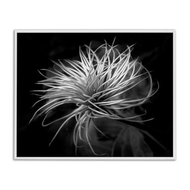 Imagem de Stupell Industries Arte giclée emoldurada cinza com folhas botânicas torcidas, design de Phillip Flowers, 28 x 35 cm