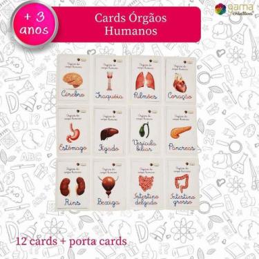 Imagem de Cards Órgãos Humanos Aprendendo 12 Cards + Porta Mdf - Slow Juicer Bra