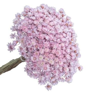 Imagem de 200 Sempre Viva Florzinha LiLás I Flores Desidratadas - Mundo Das Semp