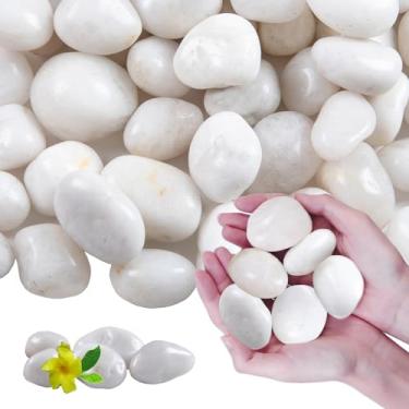 Imagem de Lechloris 10Ib White River Rocks para Paisagismo-Seixos Brancos Altamente Polidos para Plantas-Pedras Decorativas de Jardim-Pedras Grandes para Plantas de 1-2", Ideais para Aquário, Decoração de Casa