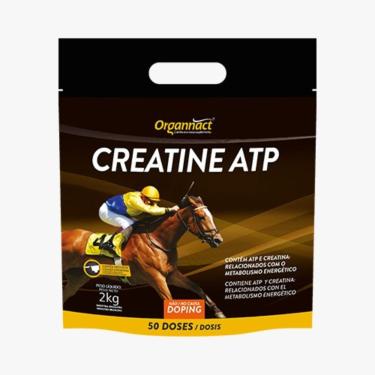 Imagem de Creatine ATP Sachê - 2 kilos