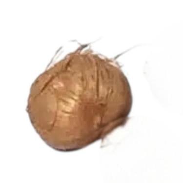 Imagem de Fava de Harmonia  Equilíbrio  Paz  Energia Positiva - Estrela Magia