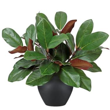 Imagem de TOCHGREEN 6 ramos de folhas de magnólia artificial, 45,7 cm, palheta falsa de magnólia 3D, hastes de vegetação sintética, galhos de folhas para decoração de mesa de casamento em casa e exterior (56 cm