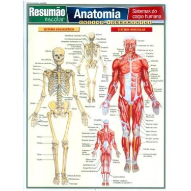 Imagem de Livro - Resumao - Anatomia - Sistemas Do Corpo Humano, 1, 21.4 x 28.1