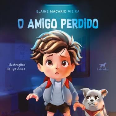 Imagem de Livro - O amigo perdido
