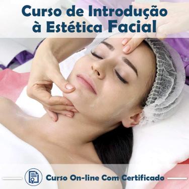 Imagem de Curso online em videoaula sobre Introdução à Estética Facial com Certificado + 2 brindes
