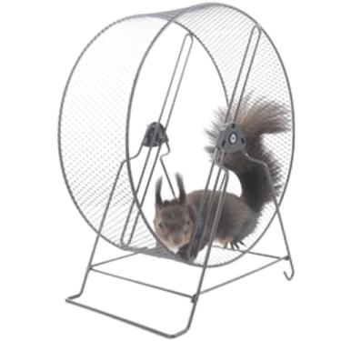 Imagem de Copfeu Roda de corrida para hamster, roda de esquilo, roda de hamster, roda de rato, hamster, silenciosa, animais pequenos, brinquedo de hamster, brinquedo de corrida ouriço (preto, 30 cm)