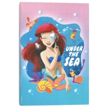 Imagem de Caderno Brochura 1/4 Licenciado Ariel - School Basics