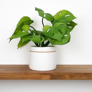 Imagem de Arranjo vaso ceramica branco planta costela de adão verde - La Caza St