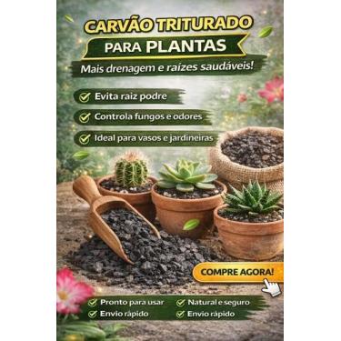 Imagem de Carvao triturado para substratos e plantas 500grs - holangrow