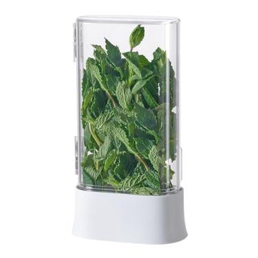 Imagem de vacane Guardião de ervas para geladeira, recipientes de armazenamento de ervas frescas, recipiente de coentro para recipiente de aspargos de geladeira, lavável na máquina de lavar louça