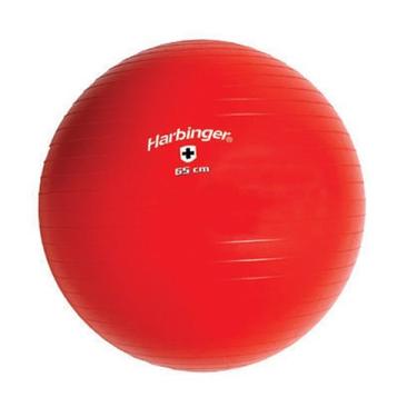 Imagem de Harbinger Bola de treinamento vermelha (65 cm, alturas 1,7 m - 2 m)