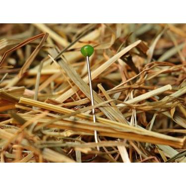 Imagem de Agulha no Palheiro - Paiol