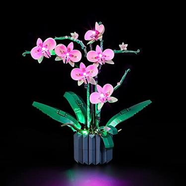 Imagem de GEAMENT LED Light Kit Compatible with Lego Orchid - Lighting Set for Creator 10311 Building Model (Model Set Not Included)
