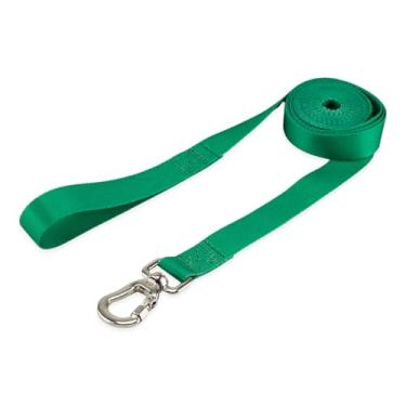 Imagem de Basic Pet Coleira Guia 5 Metros Para Cães Cachorro Adestramento Passeio Porte Grande Médio Pequeno (Verde, G)
